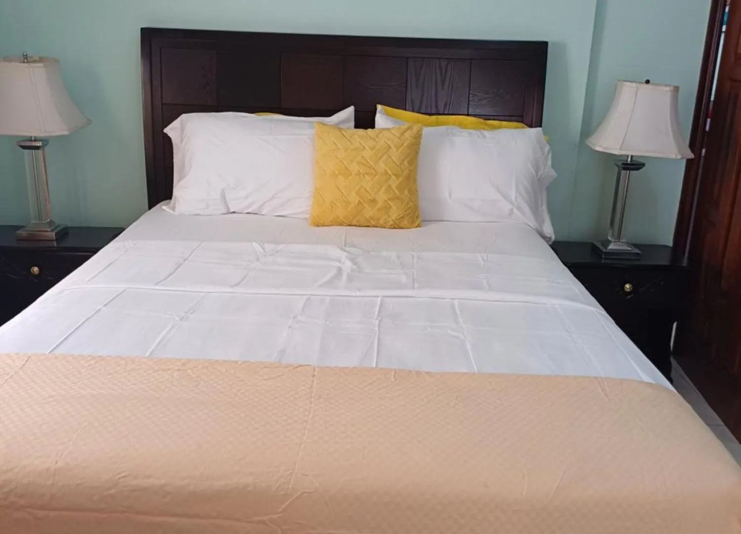 Embassy Deluxe 2 Apartment Kingston Jamaica